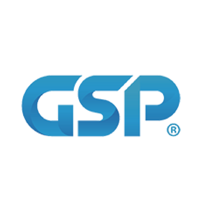 GSP. Global Security Protection